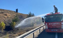 Yol kenarında ot yangını