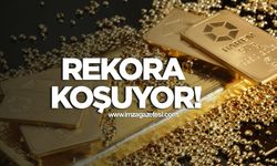 Altın rekora koşuyor!