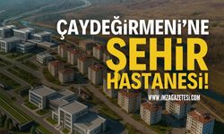 Çaydeğirmeni'ne Şehir Hastanesi Yapılsa Nasıl Olurdu?