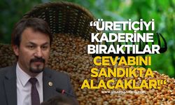 CHP'li Ertuğrul'dan fındık fiyatına sert tepki!