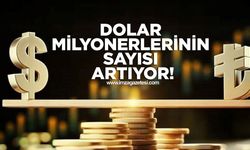 TÜRKİYE’DE DOLAR MİLYONERLERİNİN SAYISI ARTIYOR!
