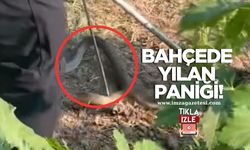 Ev Bahçesinde Yılan Paniği! İtfaiye Müdahale Etti...
