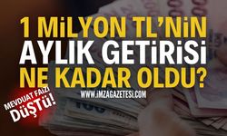 Faiz İndirimi Sonrası Mevduat Faizi Düşüşe Geçti: 1 Milyon TL'ye En Yüksek Getiri Ne Kadar Oldu?
