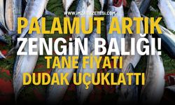 Palamutun tane fiyatı dudak uçuklattı...