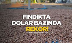 Fındıkta dolar bazında rekor!