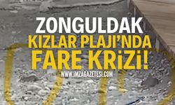 Zonguldak Kızlar Plajı’nda Fare Krizi!