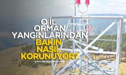 O İlin ormanları bakın nasıl korunuyor?