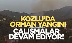 Kozlu'da orman yangını! Çalışmalar devam ediyor