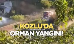 Kozlu'da orman yangını