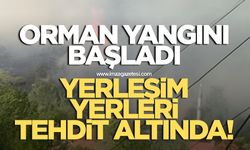 Orman yangını başladı! Yerleşim yerleri tehdit altında