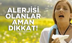 Polen alerjisi olanlar için uyarı! Aman dikkat!