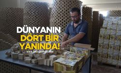 Zeytinyağından dünyaya açılıyor!