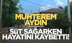 Süt sağarken elektrik akımına kapılan Muhterem Aydın hayatını kaybetti