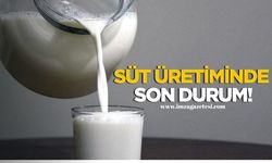 TÜİK açıkladı! Süt üretiminde son durum!