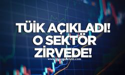 Türkiye’de Sanayi ve Hizmet İstatistikleri Açıklandı! En yüksek hizmet payı o sektörde!