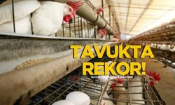 TÜİK açıkladı! Tavuk etinde rekor!