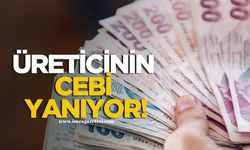 Üreticinin Cebi Yanıyor!