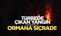 Türbede çıkan yangın ormana sıçradı