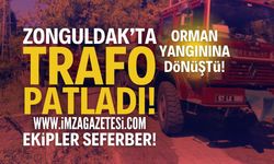 Zonguldak Alaplı'da Trafo Patlaması Yangına Neden Oldu!