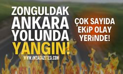 Zonguldak-Ankara Yolunda Yangın!