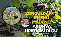 Zonguldak’ta emekli madenci aronya üreticisi oldu!
