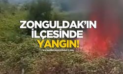 Zonguldak'ın ilçesinde yangın!