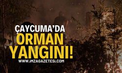 Zonguldak Çaycuma'da Yangın: İtfaiye Seferber