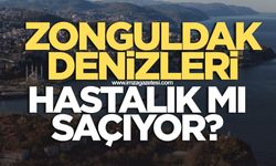 Zonguldak denizi hastalık mı saçıyor? Vatandaş açıklama bekliyor