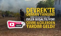 Zonguldak Devrek Orman Yangını: Evler Boşaltılıyor!