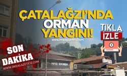Kilimli Çatalağzı’nda Orman Yangını! İtfaiye Müdahalesi Hızla Başladı