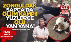 Zonguldak Sapça'da ölüm kampı! Yüzlerce ölü yan yana!