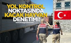 Yol Kontrol Noktasında Kaçak Hayvan Denetimi!