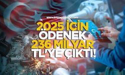 Ar-Ge Harcamaları Yükselişte! 2025 İçin Ödenek 236 Milyar TL'ye Çıktı!