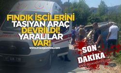 Fındık işçilerini taşıyan araç devrildi! Yaralılar var!