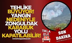 Karabük'te Tehlike Büyüyor! Yangın Nedeniyle Zonguldak-Karabük Yolu Kapatılabilir!