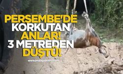 Perşembe'de Korkutan Anlar! 3 Metreden Düştü!
