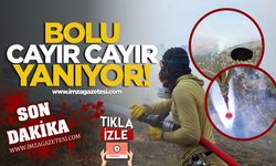 Bolu'da Orman Yangını! Alevler Havadan Ve Karadan Söndürülmeye Çalışılıyor