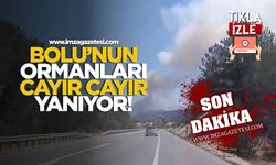 Bolu'nun yemyeşil ormanları alev alev yanıyor!
