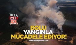 Bolu Yangınla Mücadele Ediyor!