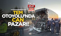 TEM Otoyolu'nda Can Pazarı!