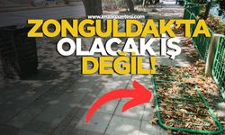 Zonguldak'ta olacak iş değil!