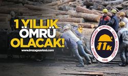 1 yıllık ömrü olacak!