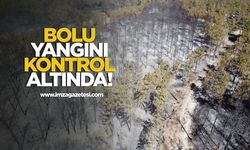 Bolu yangını kontrol altında!