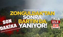 Zonguldak'tan sonra Bartın da yanıyor!