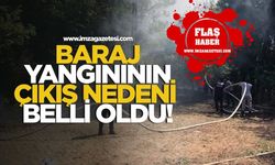 Ulutan Barajı yangının çıkış nedeni belli oldu!