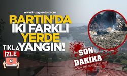 Bartın'da iki farklı yerde yangın!