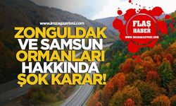 Zonguldak ve Samsun Ormanları Hakkında Şok Karar!