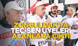 Zonguldak’ta Teç-Sen Üyeleri Alanlara Çıktı!