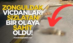 Zonguldak vicdanları sızlatan bir olaya şahit oldu!