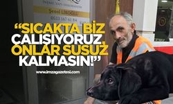 Zonguldak Belediyesi Temizlik Personelinden Duyarlı Çağrı: Sokak Hayvanlarına Sahip Çıkın